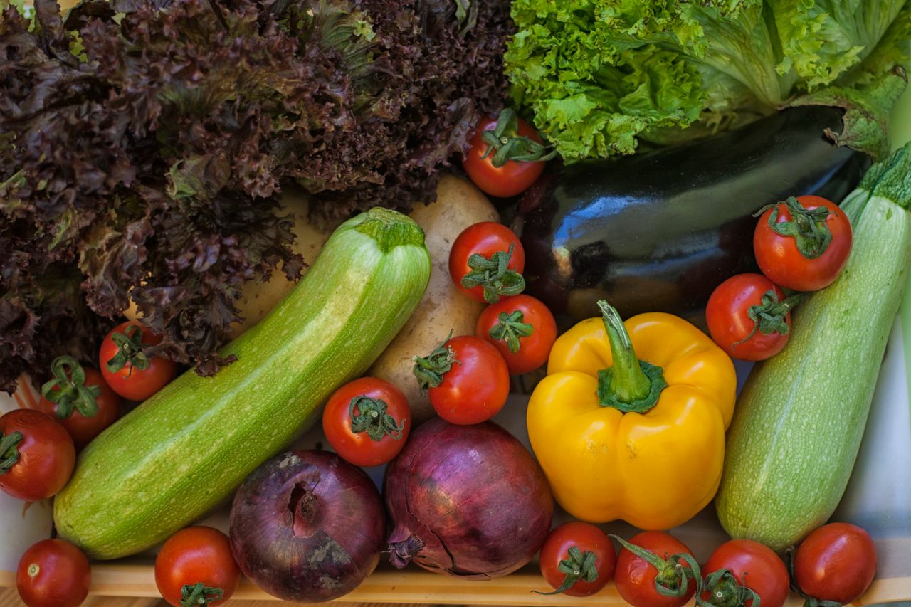 veggies veggies