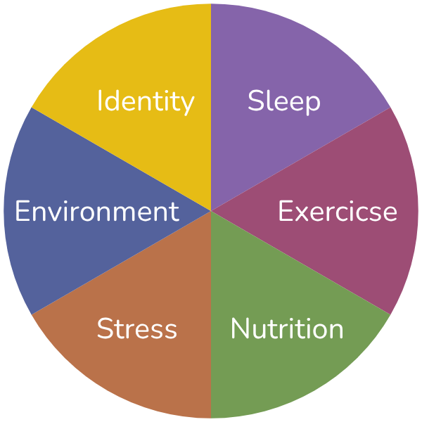 6 Domains of Health 6 Domains of Health