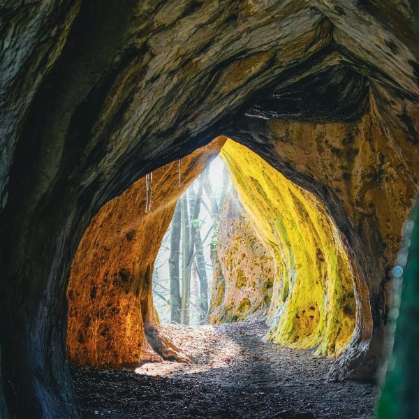 cave-forest
