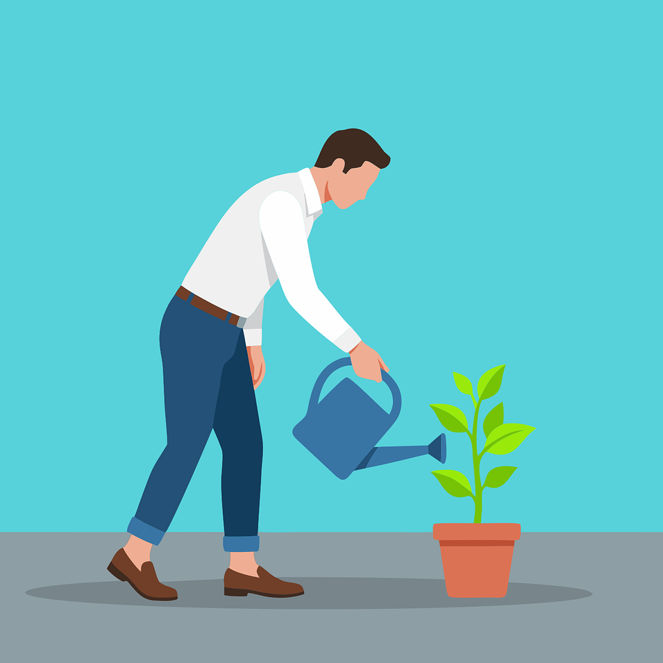 watering-plant watering-plant